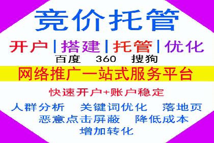 成功运用SEM技术提升网站流量的案例研究